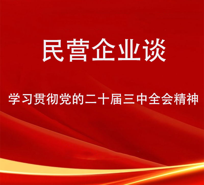 学习贯彻党的二十届三中全会精神丨民营企业谈（十二）